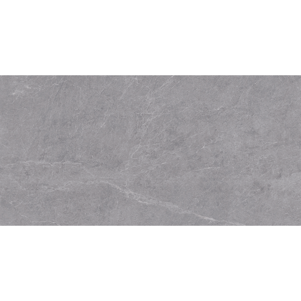 ALPINE GRIS 60x120 MATT