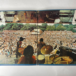 Винтажная виниловая пластинка LP The Blues Project, Reunion In Central Park (США 1973)