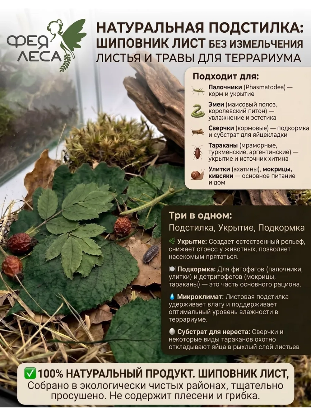 Шиповник лист подстилка подкормка укрытие
