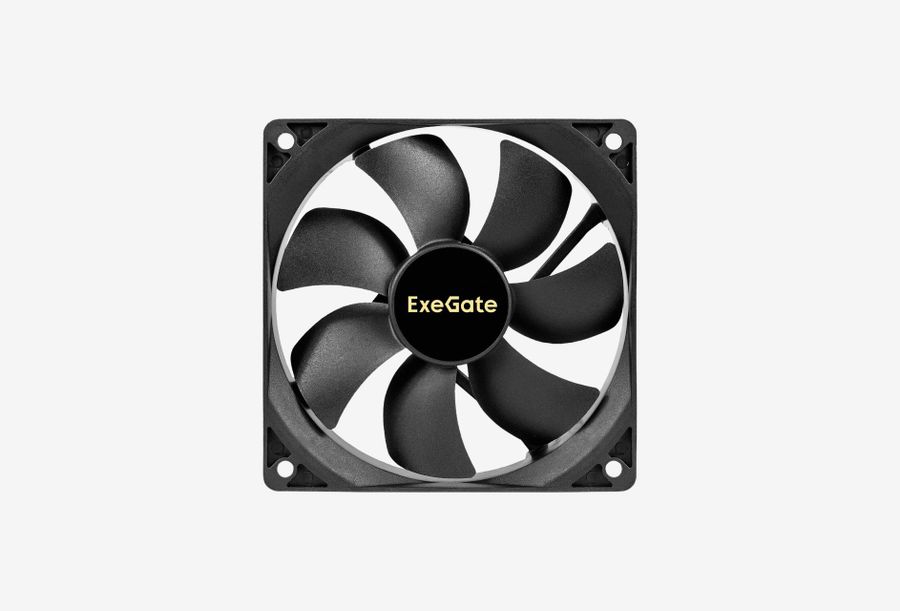 EX299886RUS_0126709111135
