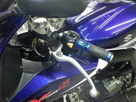 Suzuki SV1000S 2005