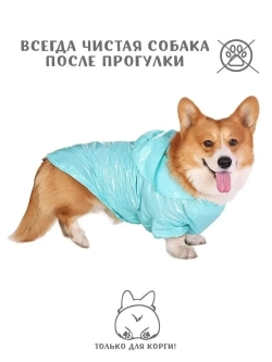 Дождевик для собак Корги комбинезон