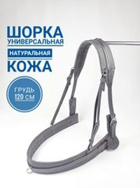 Шорка кожаная для лошади под евро-упряжь 120, черный