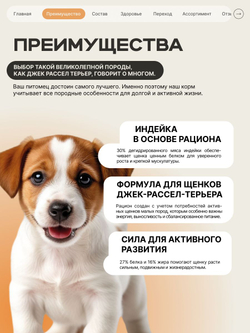 Корм сухой для щенков породы Джек Рассел Терьер, с индейкой, 3 кг, QUATTRO