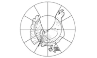 Мишень для пристрелки дробовых ружей 16-дольная Глухарь