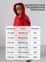 Ветровка для мальчика