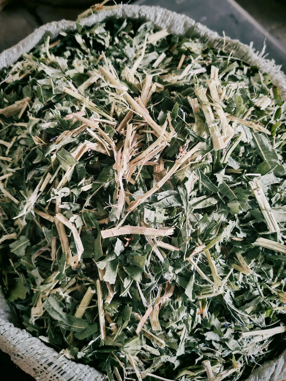 Кипрей узколистный (лист, побег) Алтай