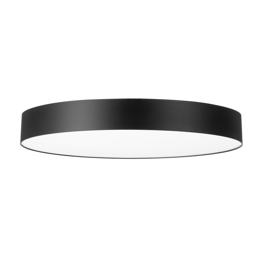 Потолочный светодиодный светильник Citilux BART CL755491