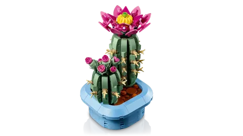 Конструктор LEGO Botanical Collection 11509 Flowering Cactus