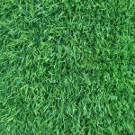 Газон декоративный «Grass» 0,5*1 м, ворс 20 мм, Сочная трава
