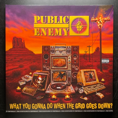 Public Enemy ‎– What You Gonna Do When The Grid Goes Down? (Европа 2020г.)