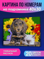 Картина по номерам 30х40см. "Собачка и котёнок в деревянном корытце" 20цв. ( Арт. ХК-6615)