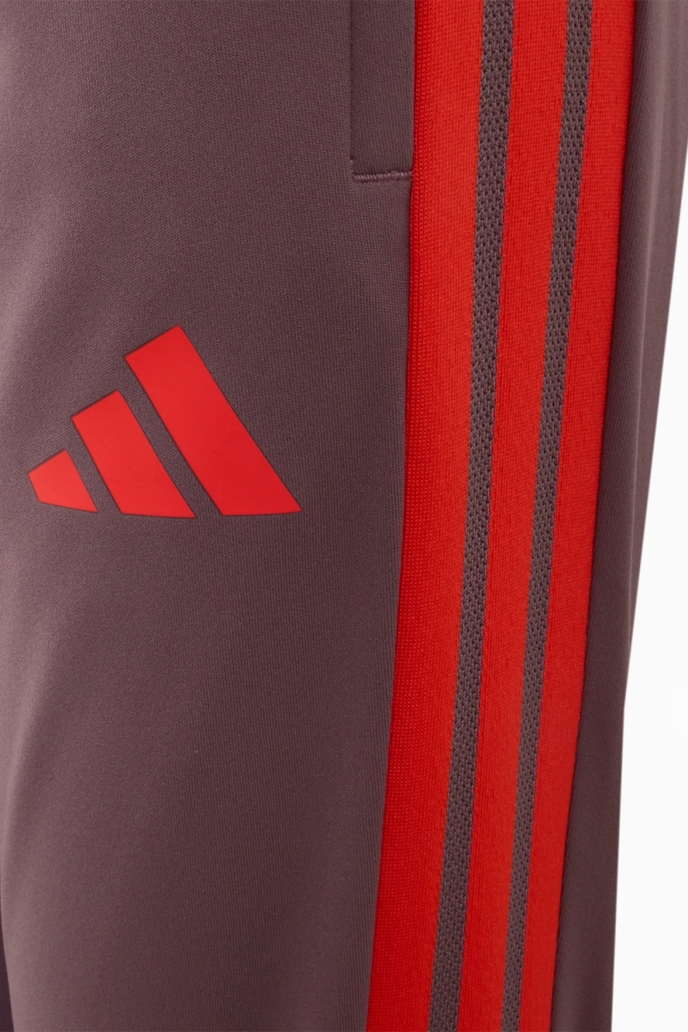 Штаны adidas FC Bayern 26/27 Training Junior - фиолетовый