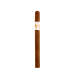 Principle Accomplice Classic White Band Lancero