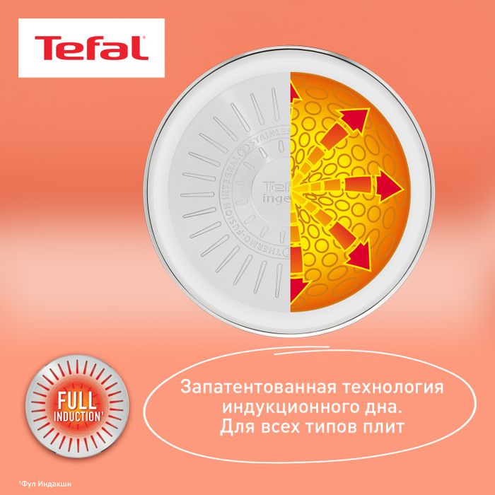 Набор посуды Tefal Ingenio Emotion из 5 предметов 16/20/22/28 см L897S574