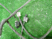 DSCN9452.JPG