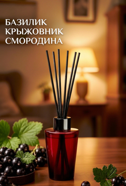 Аромадиффузор Breesal Passion Черная смородина, 70 мл