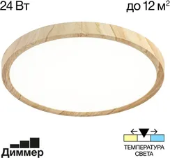 Настенно-потолочный светильник Бейсик CL738242V Citilux