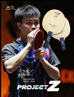 DOUBLE FISH ZHOU QIHAO Project Z