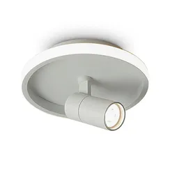 Потолочный светильник Neo FR6040CL-L14W Freya