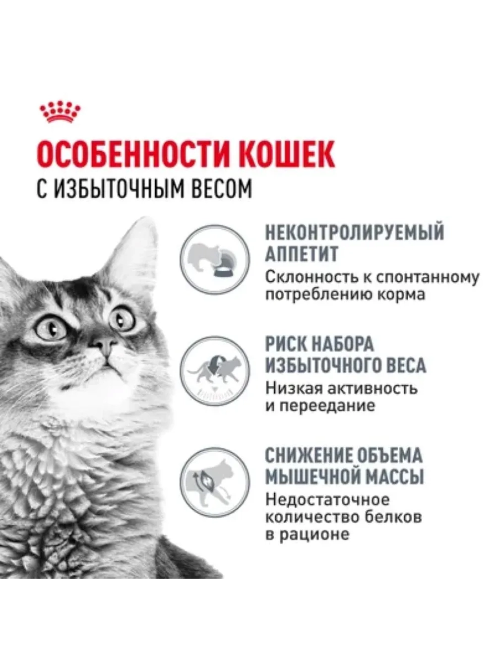 Light weight care Корм для кошек в соусе 85г*28шт
