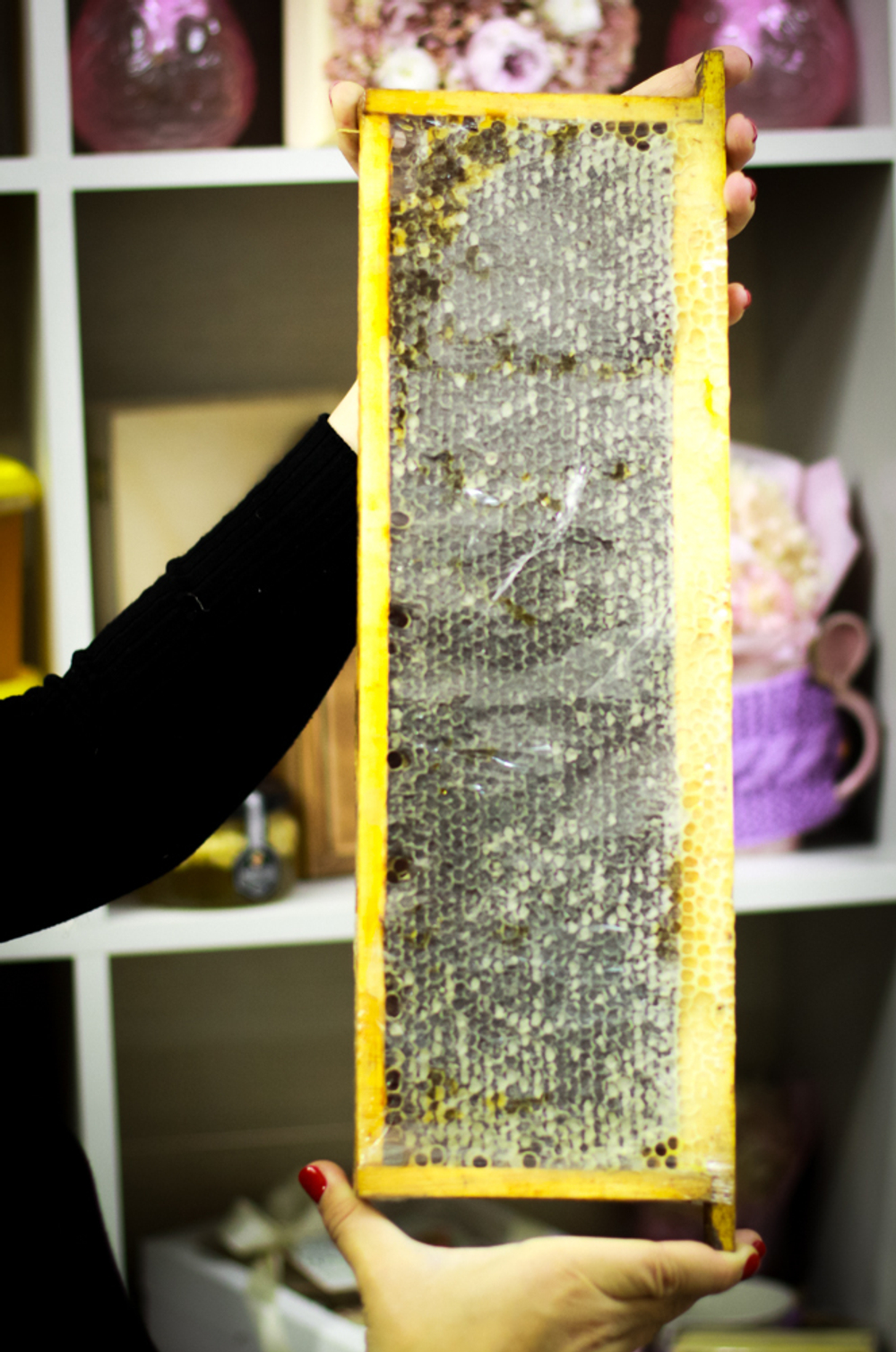 Натуральный мед в сотах HoneyForYou, 1700 г