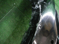 DSCN4608.JPG