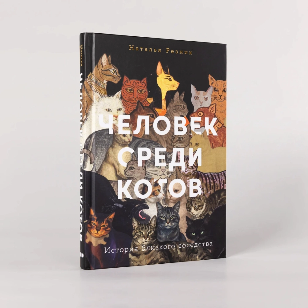Человек среди котов