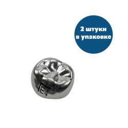 Второй нижний левый моляр, размер 4 (E-LL-4)