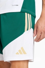 Шорты adidas Италия 2026 Training - зеленый