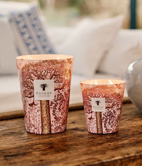Woroba, свеча MAX 24 Sacred Trees collection, Baobab Collection