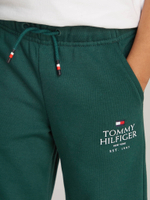 Спортивные штаны Tommy Hilfiger - зеленый(KB0KB09244)