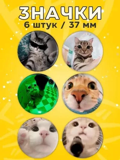 Значки с котиками милые мемные