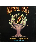 Grateful Dead — Downhill From Here: Alpine Valley