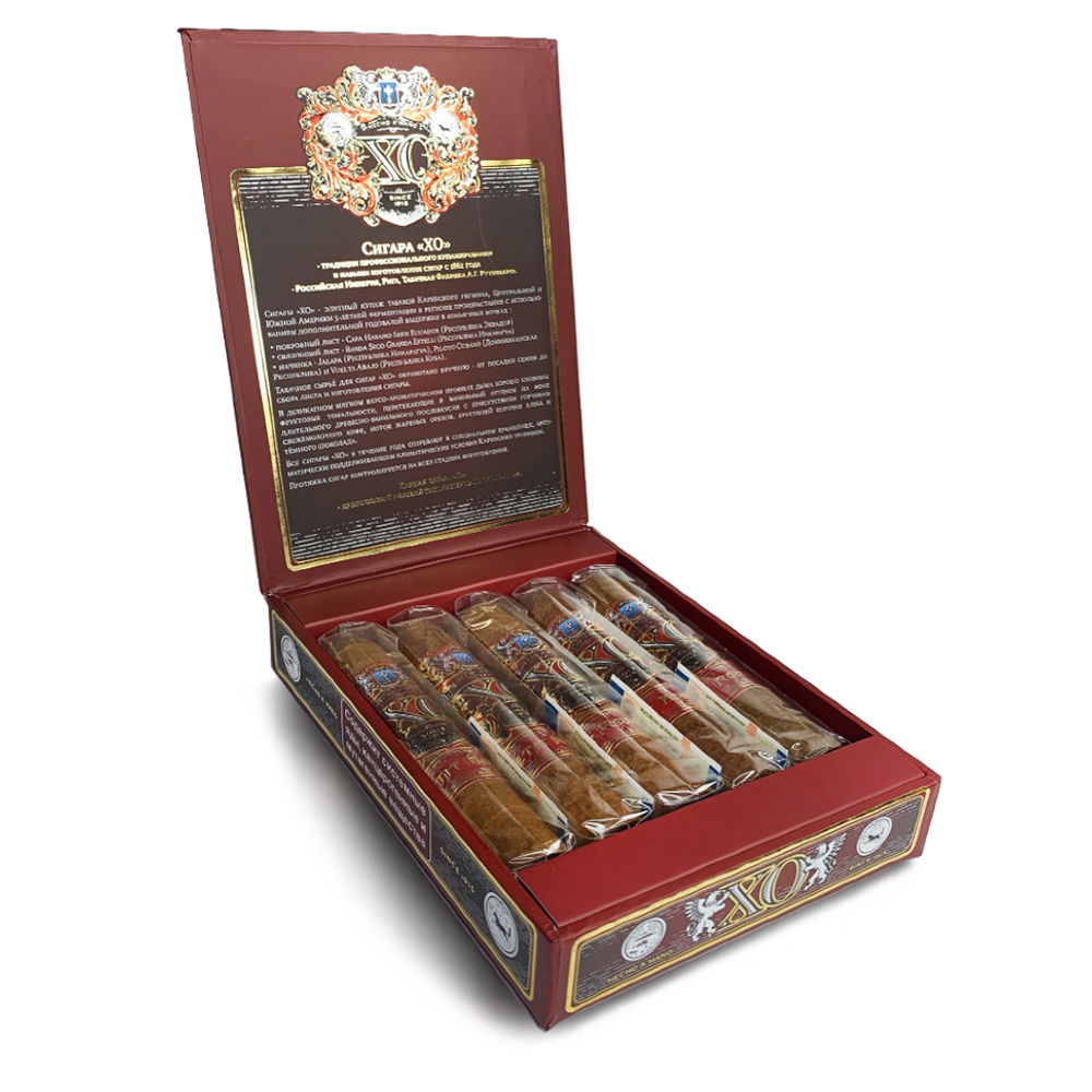 XO Petit Robusto
