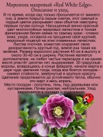 Морозник Красный с белой окантовкой Дабл Ред Уайт