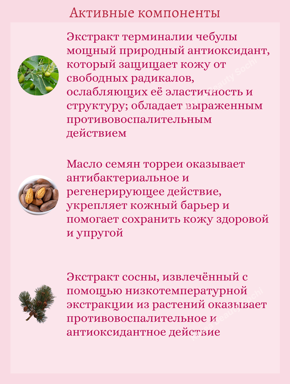 Тканевая маска для лица с экстрактом камелии 27 ml Jigott Camellia Real Ampoule Mask