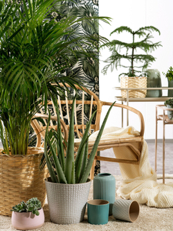 IKEA CHIAFRÖN  (ИКЕА СХИАФРÖН)  -  Простыня, белая, 9 см