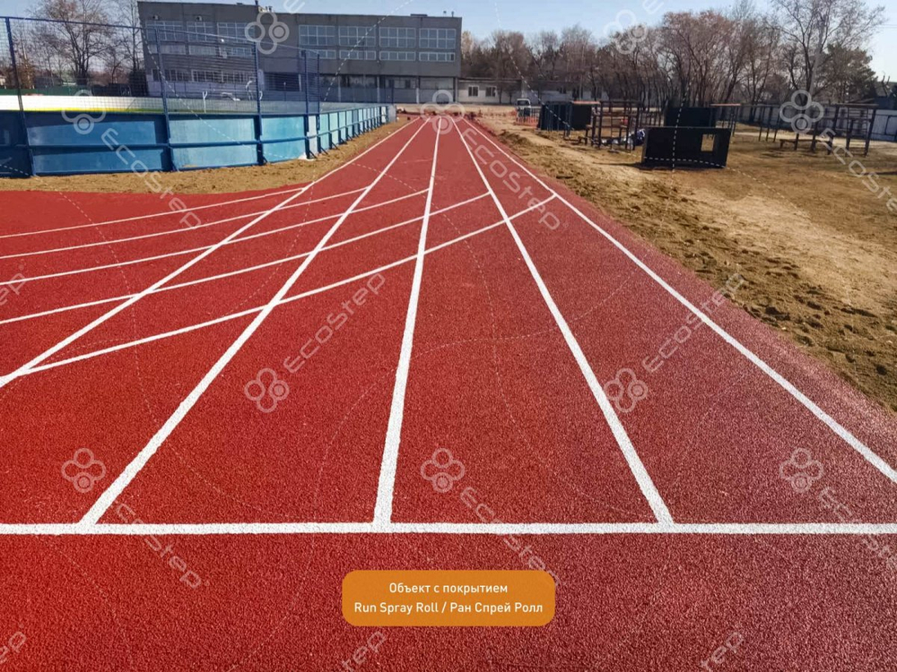 EcoStep® Run Spray Roll/Ран Спрей Ролл