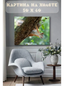 Картина на стену 40 X 50 Белка