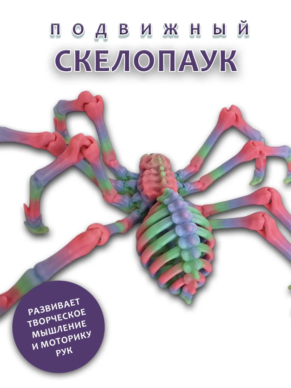 Скелет Паук