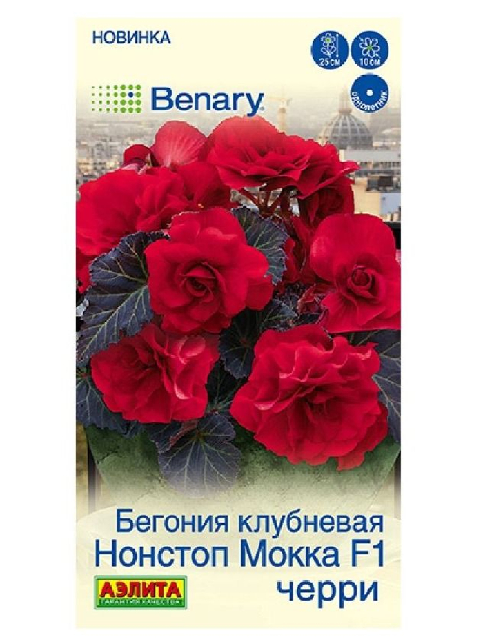 Бегония Нонстоп мокка F1 черри 5шт (Аэлита)