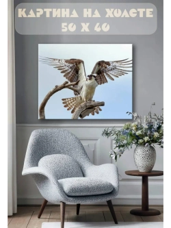Картина на стену 40 X 50 Хищная птица