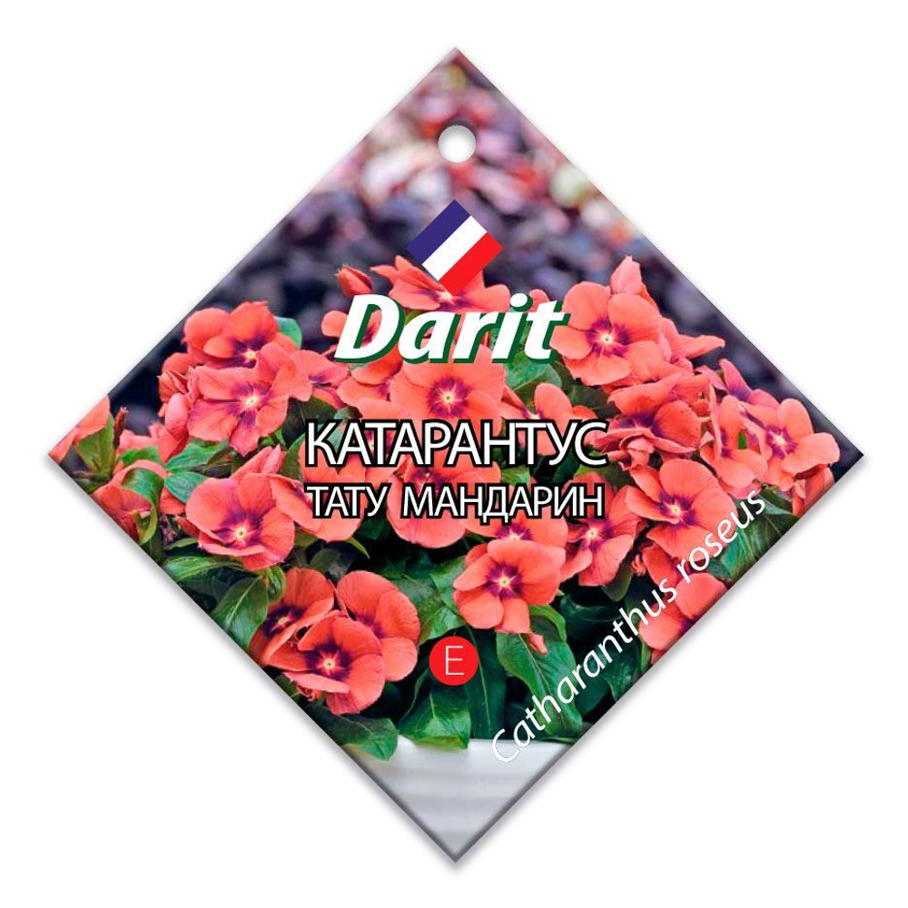 Катарантус Тату Мандарин, семена Дарит 7шт