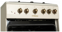 Газовая плита Hansa FCGY52109