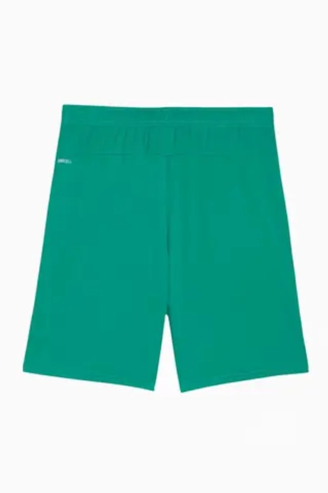 Шорты Puma teamGOAL - зеленый