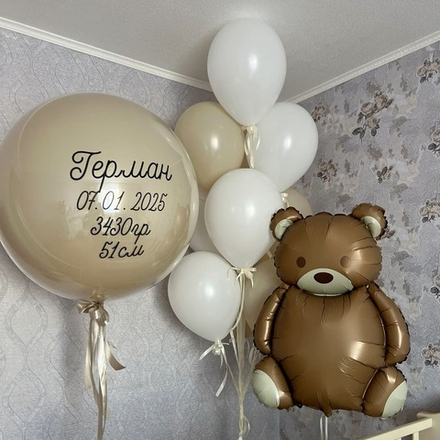 Арт. 1123