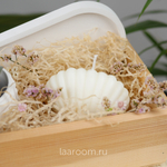 Подарочный набор суккулент + свеча №1