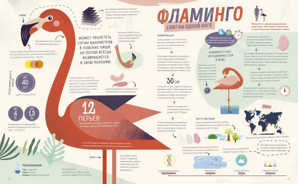 Как спит пчела? Удивительные факты о животных и их суперспособностях