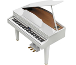 Roland GP607